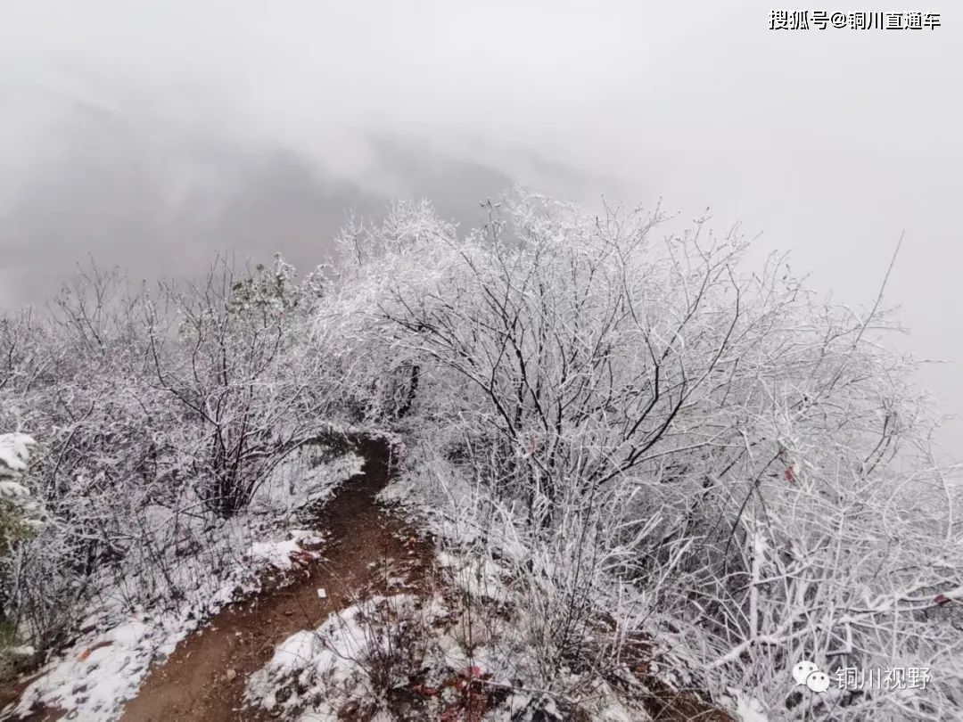 铜川今年的第一场雪，也是最后一场雪，雪中的香山美景