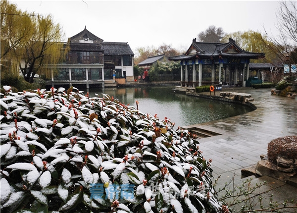泉城雪景美图，每张都可当壁纸