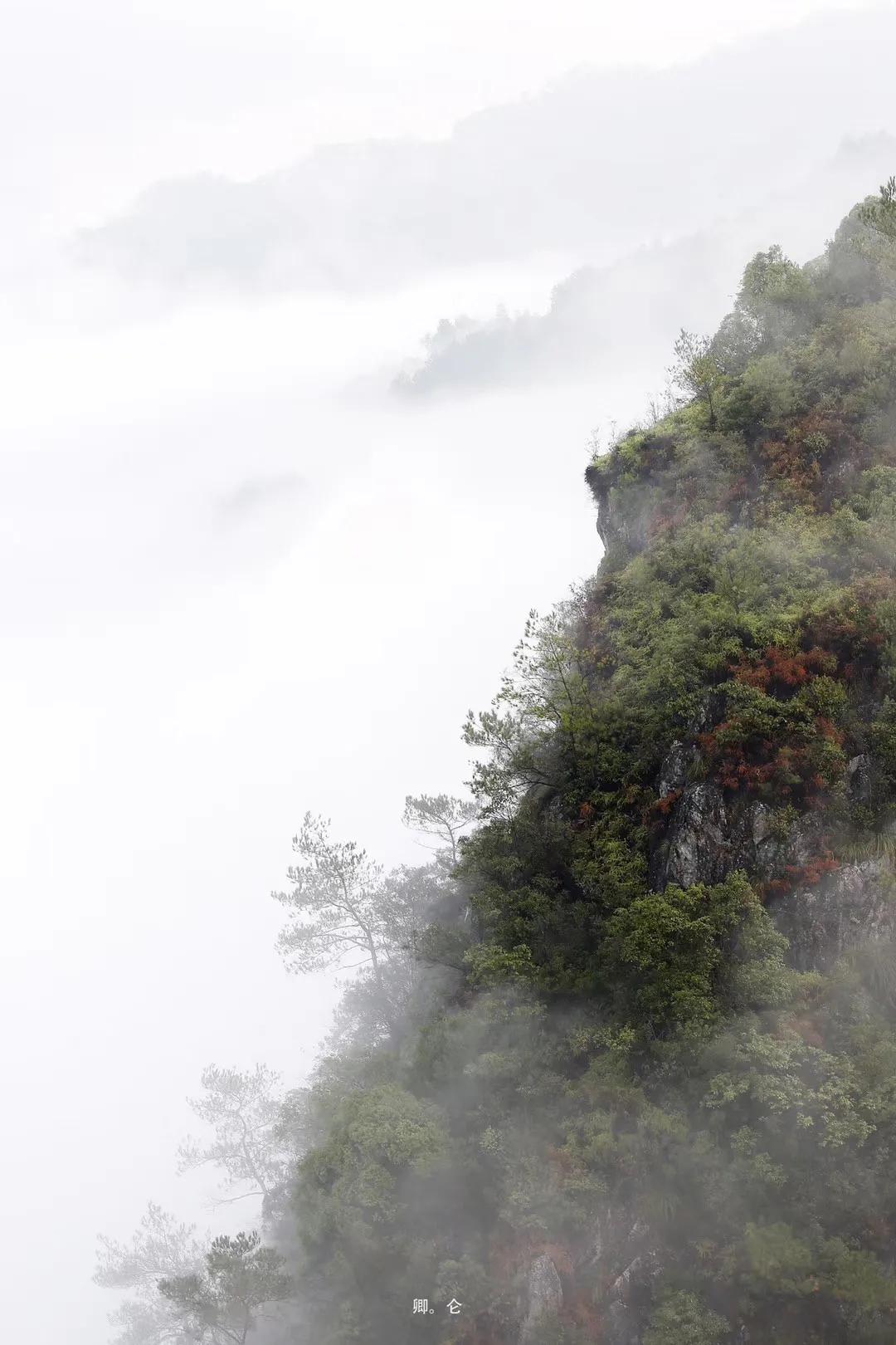 不太一樣的溫州泰順龜湖