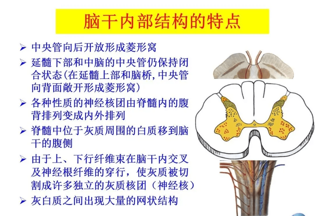 ccbb78402e5149cbb8effaab65e0d6e3.png