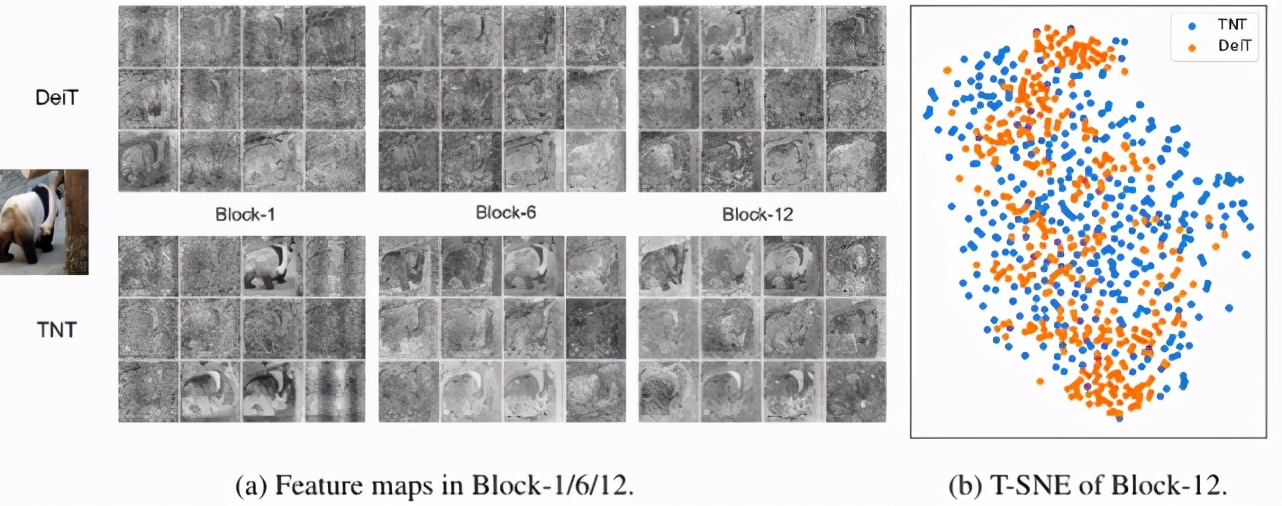 视觉|优于ViT和DeiT，华为利用Transformer块构建新型视觉骨干模型TNT