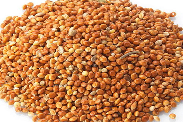 莜麦,胡麻,豌豆,黑豆,蚕豆,红芸豆,谷子,黍子,玉