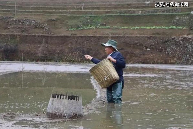 和静县有多少人口 间百科百度_百度识图在线识图