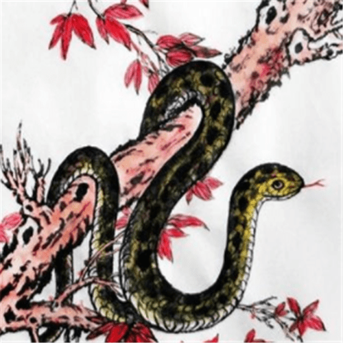 什么生肖最旺属蛇人 96c31b04e848416793db7725eb500e06.png
