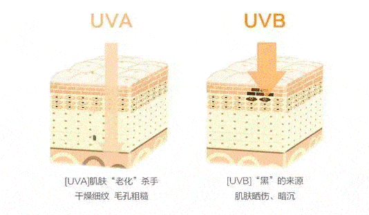 色素沉淀什么梗 d04ba6a0c9c340b1a3c2445235d83eec.gif