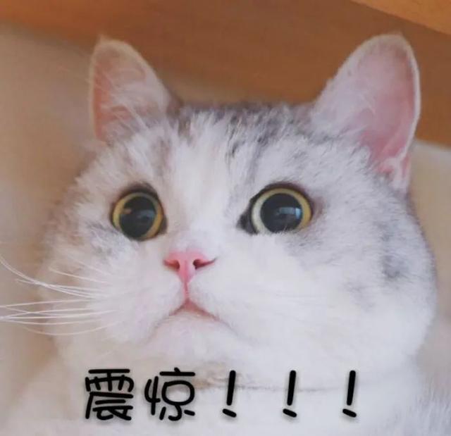宿迁一男子贪图5元佣金被骗走100万!