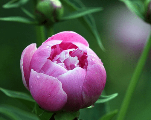 3月10号开始 福星高照 4属相事业顺利 升职加薪 富贵双全 生活