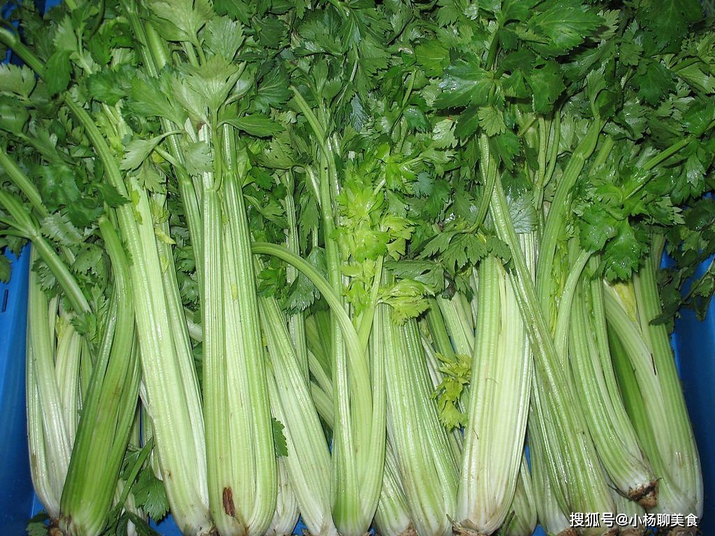 芹菜好吃却不能瞎吃 春天吃芹菜有一大禁忌 现在知道还不晚 酸性