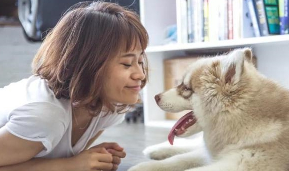 如何给狗洗澡教程 a038a1d107ec4f198358046a4096dea4.jpeg