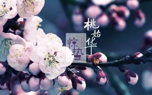 怎么会有阴桃花 0bc48bb237634bb382a42c4f4739d80d.jpeg