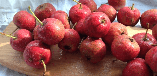 怎么做山楂糖葫芦不酸 8054b8e9c3e048f4ab58cbf4bac167d2.png