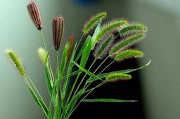 3生肖熬过大难 3月10号开始 大财小财滚滚来 运势亨通 手机搜狐网