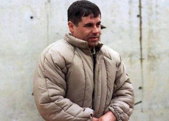 世界头号毒枭被抓,住房内美金遍地,美女成群,还有个凶猛的宠物_古兹曼