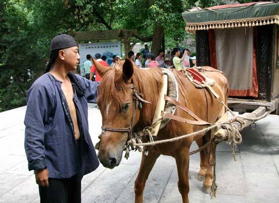 常常会雇佣一些"有本领"的人充当马夫,像古代镖局,车马行等等,都有