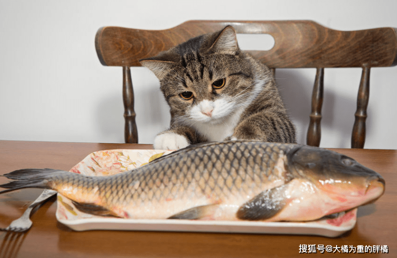 34e627162e524fe0bfcfe01cdcd81a6f.png