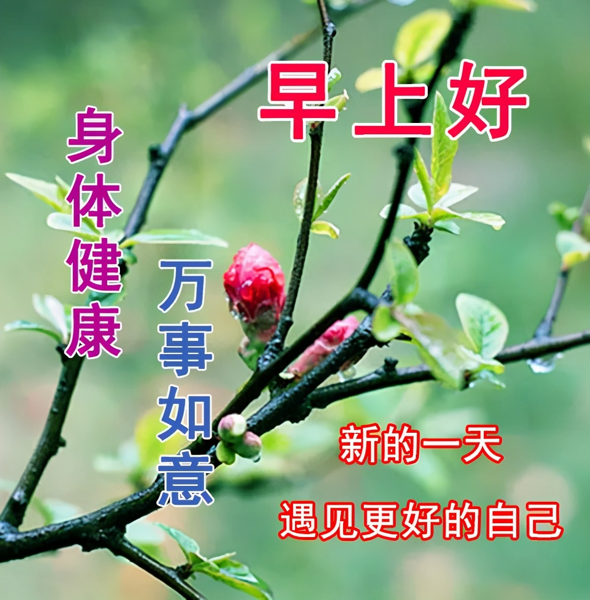 早上好問候語溫馨暖心早晨好祝福朋友的問候語