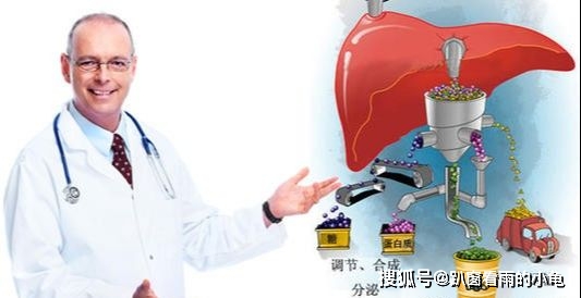 怎么样养肝护肝最好 5c54eacf2ed14b259f8078928b45c213.jpeg