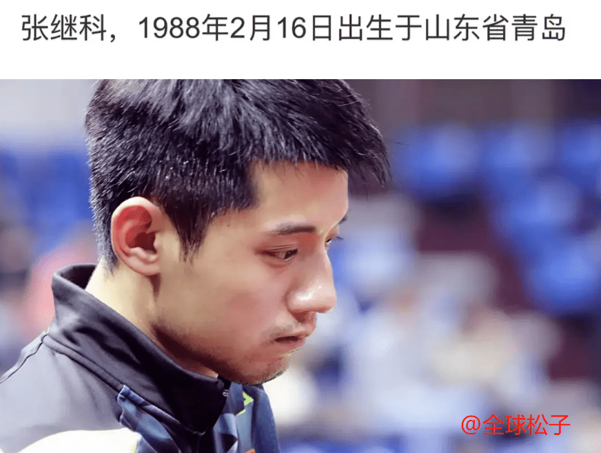 荣耀乒乓魔改疑似融梗张继科马龙经历网友爽文看多了