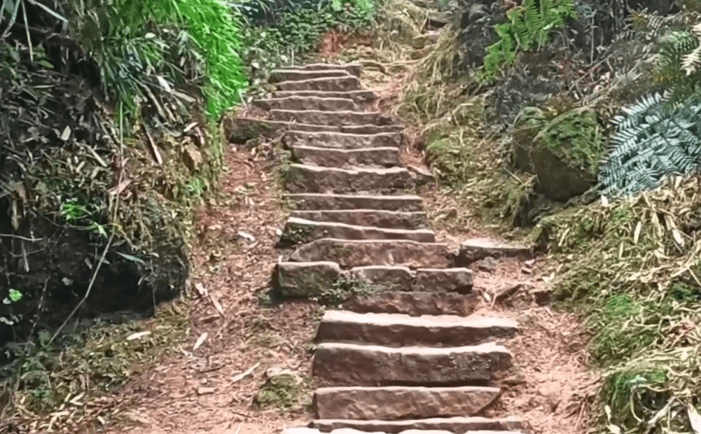 重庆江津“爱情天梯”：男子50年开凿6000多级阶梯，只为爱人不摔跤
