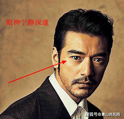 面有悬胆鼻,精气旺而聪慧过人,日后必成大器.