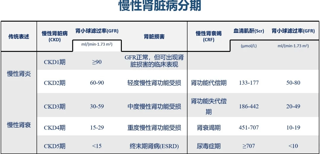 世界肾脏日积极面对肾病共享精彩人生