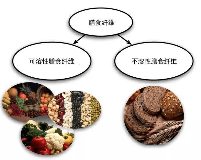 30ef3771fb8f48eb91bfc1d3eecfc2eb.png