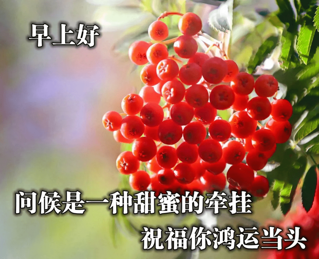 晨祝福語圖片大全,早上好問候句子表情包