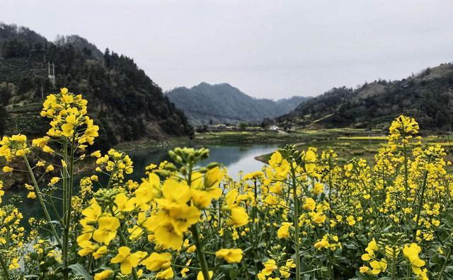 中国3月最美的江，连接安徽和浙江两省，是江浙沪人最爱去的地方