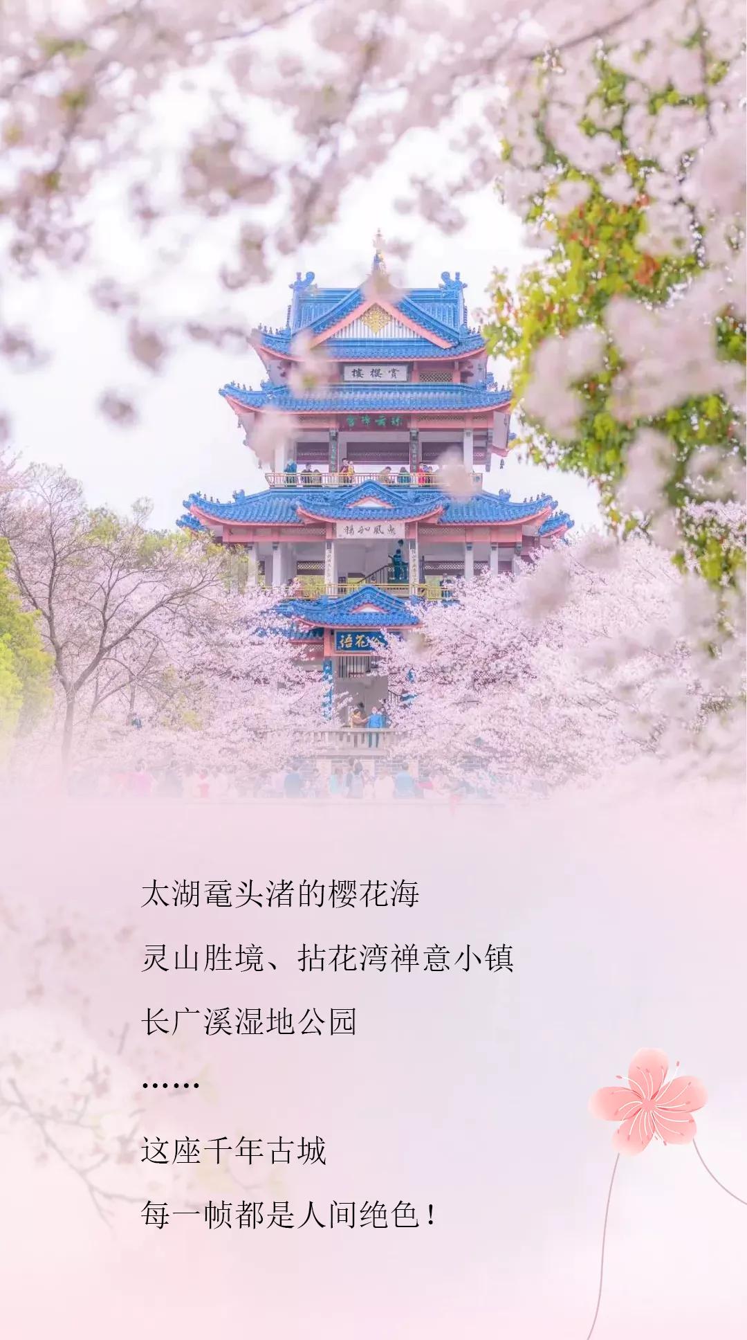 这座小城的绝色春天，惊艳了整个江浙沪！上海出发仅半小时直达！