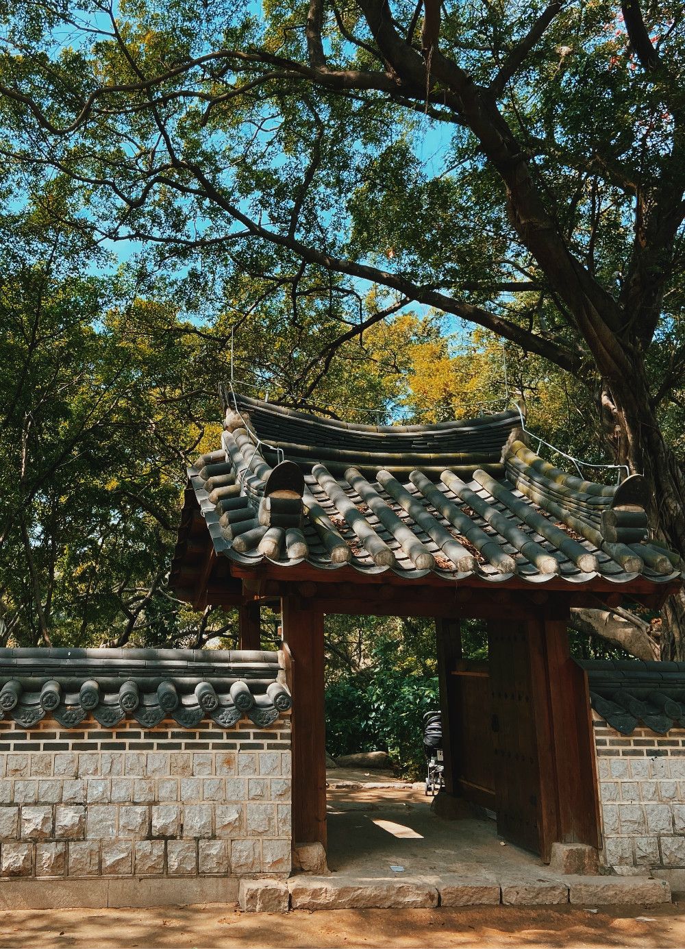 穿越到韩国古装剧,广州这一庭院,免费打卡好去处