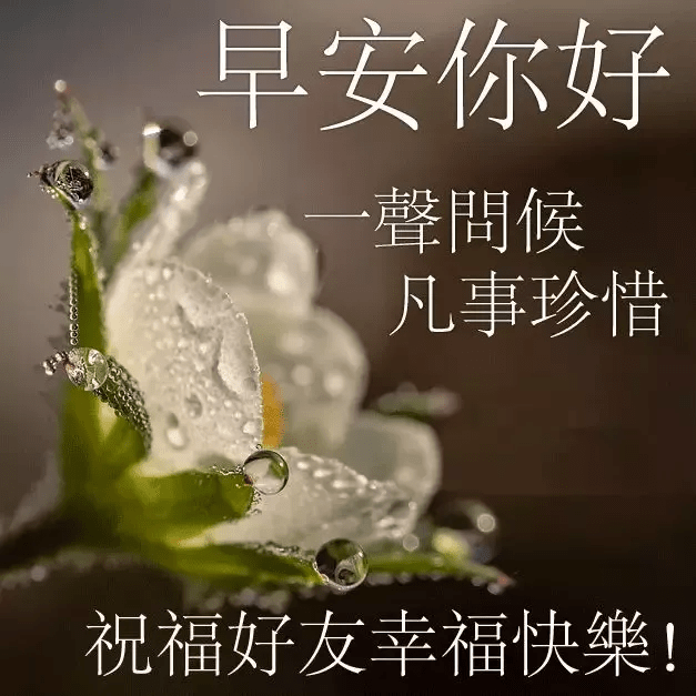 形容早起的打油詩 春雨茫茫問候早上好圖片 - 早安心語- 不二勵志語錄