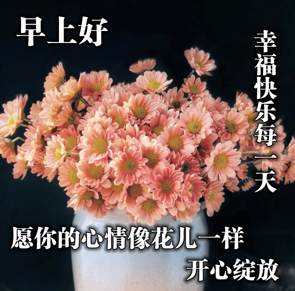 早上好圖片表情祝福語 最新早安祝福問候唯美圖片加句子