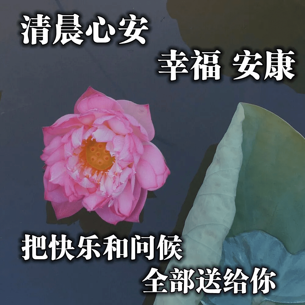 原创早上好图片问候语微信早安祝福语唯美句子带图片