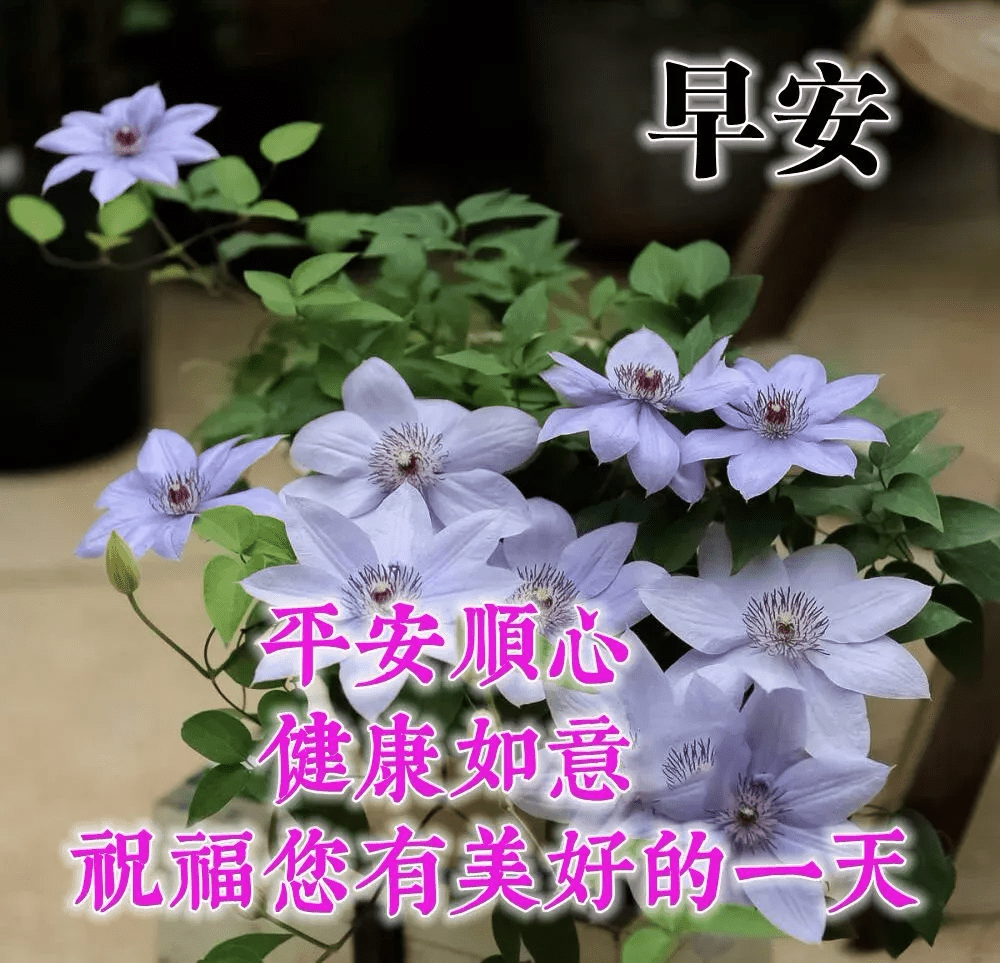 三月三十一日早安问候图片 7dd89975c27747709fa44ef15470e37d.png
