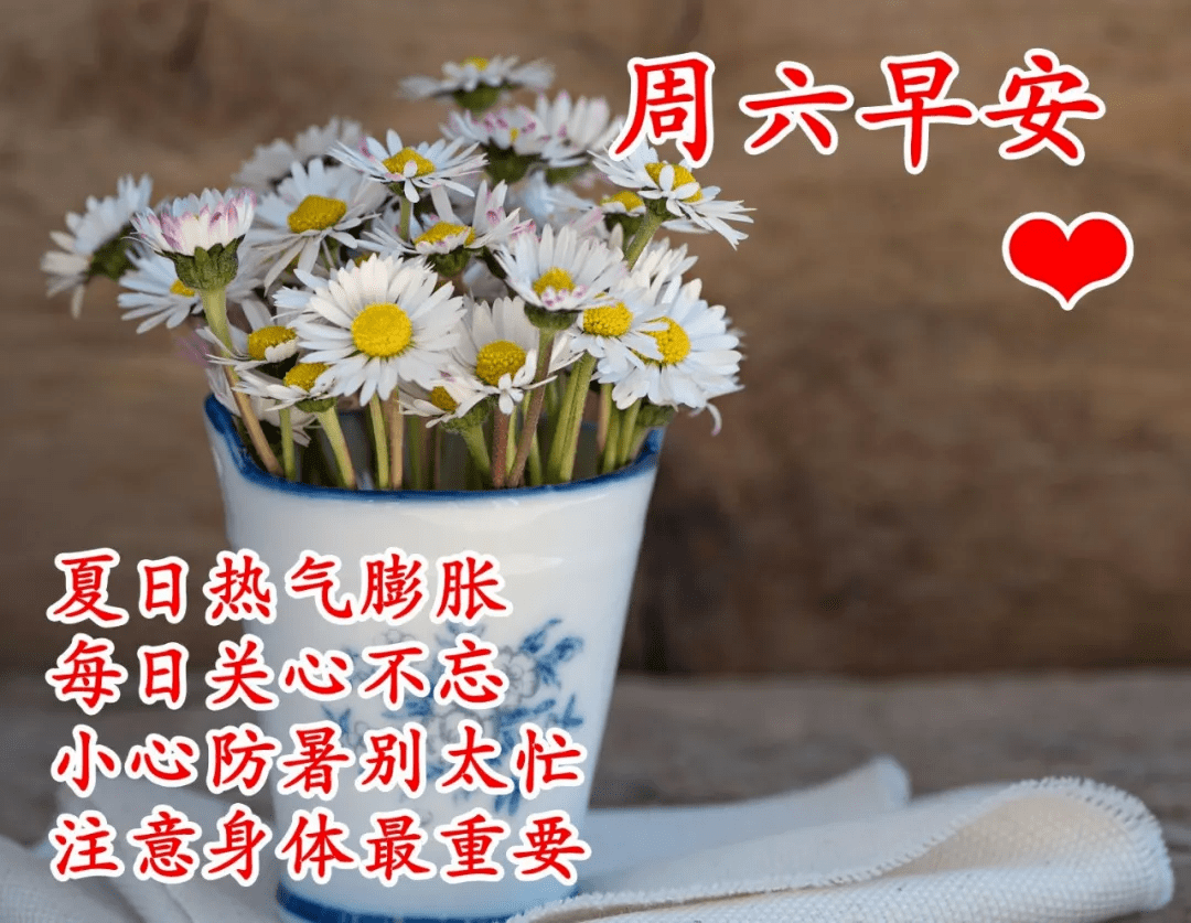 原创早上好图片大全表情包早上好问候语文字带阳光图片