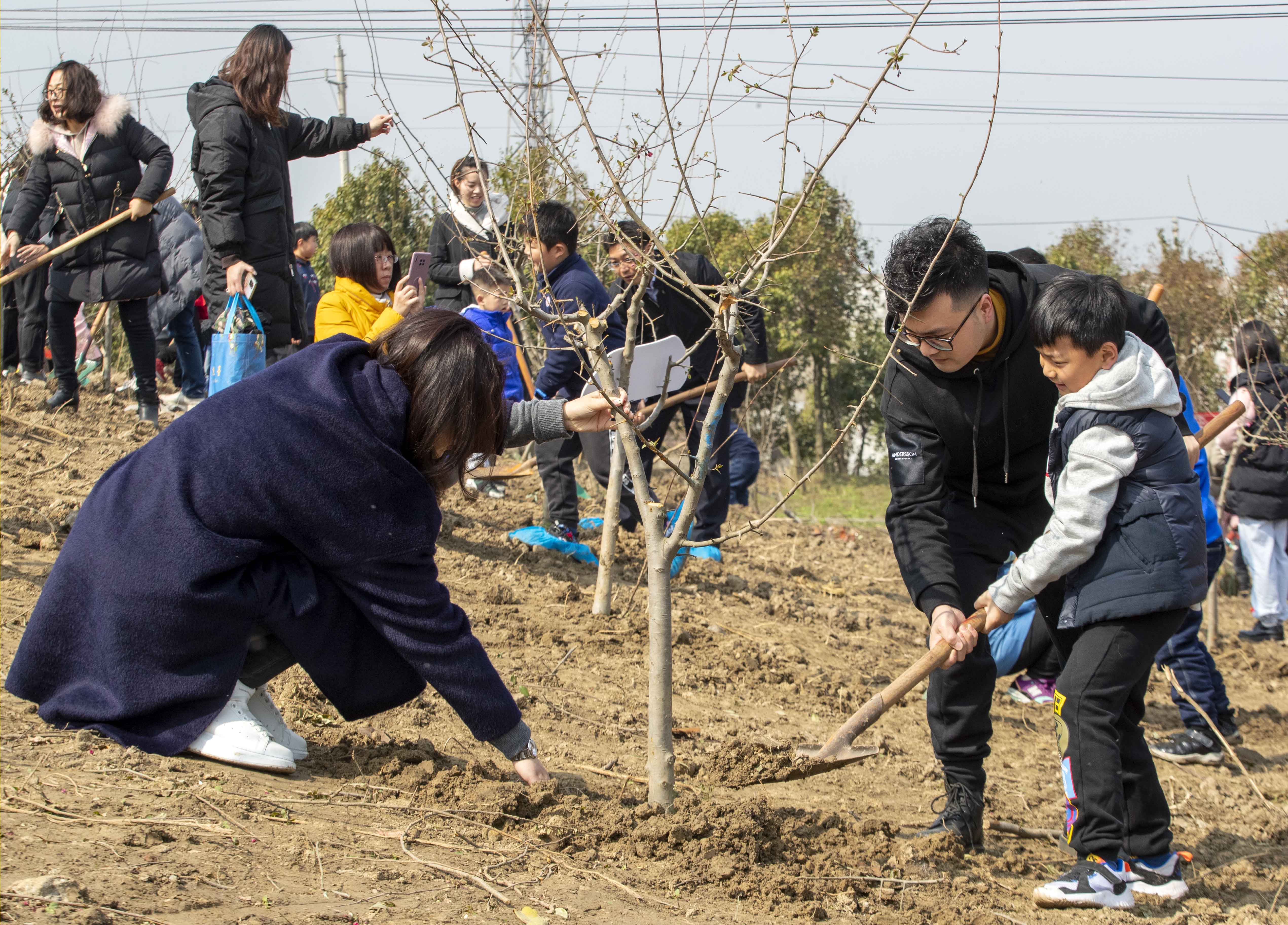 江苏泰州:亲子植树 绿色成长