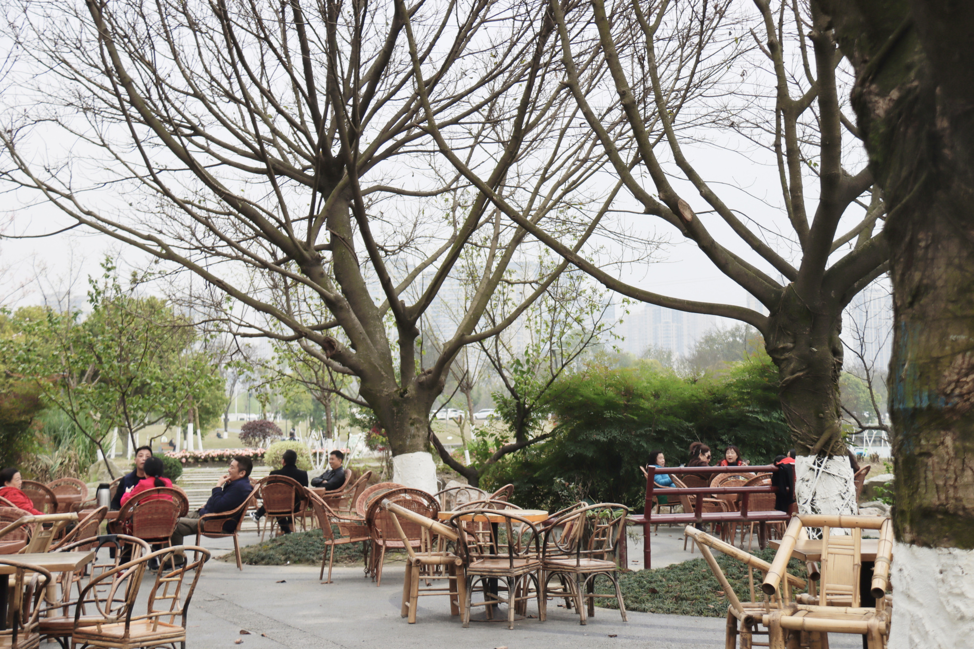 四川有处“巨无霸”公园，就在成都人的家附近，周末就来喝茶打牌