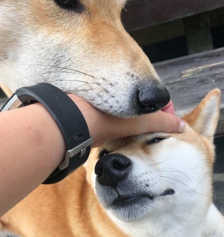 1ad2a03875304c4a9728841c26c1e58f.jpeg