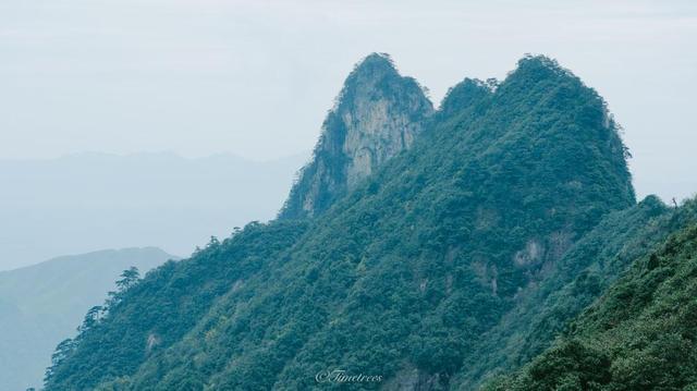 广东省第一高峰，却又身处湖南的景区，来看看莽山有哪些奇妙之处