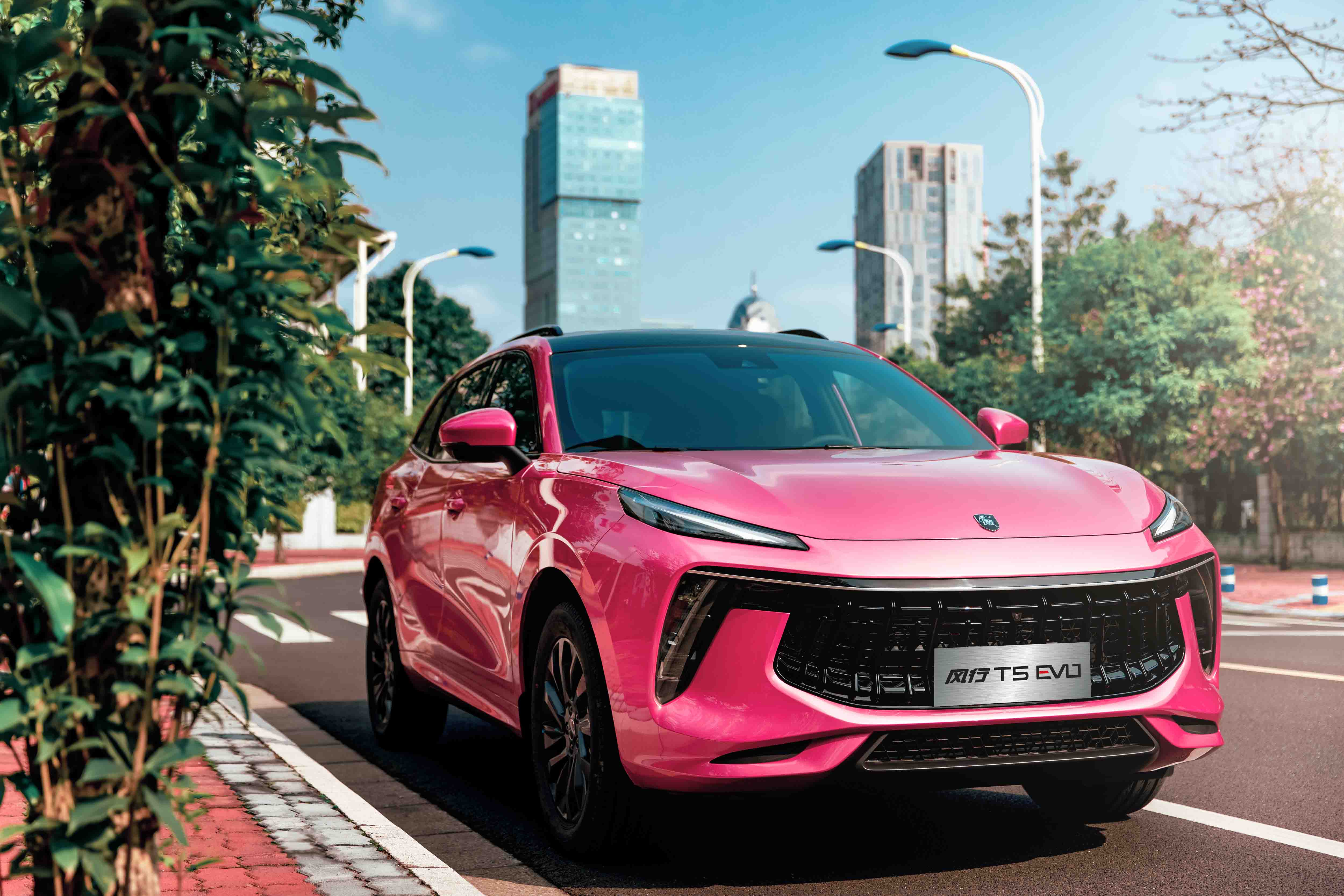 紫荆花全城盛放与紫荆粉风行t5evo打造一场视觉盛宴