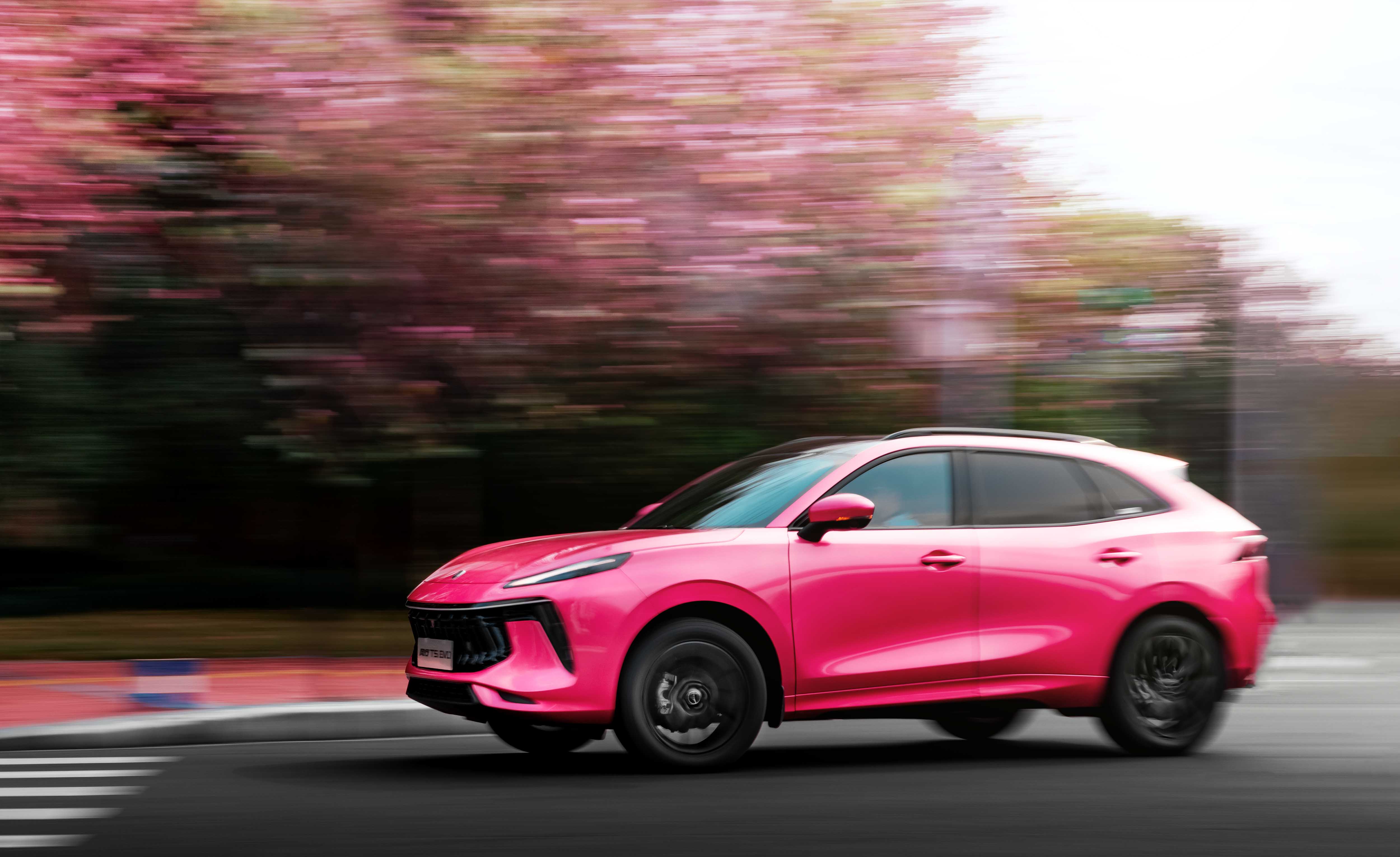 紫荆花全城盛放与紫荆粉风行t5evo打造一场视觉盛宴