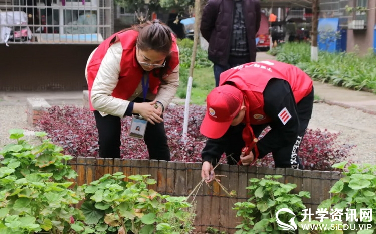 新時代好隊員:成都三岔湖小學開展學雷鋒系列活動之社區志願服務_汪霞