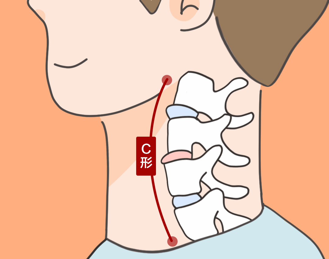 趁早注意这些症状可能是你的颈椎在求救