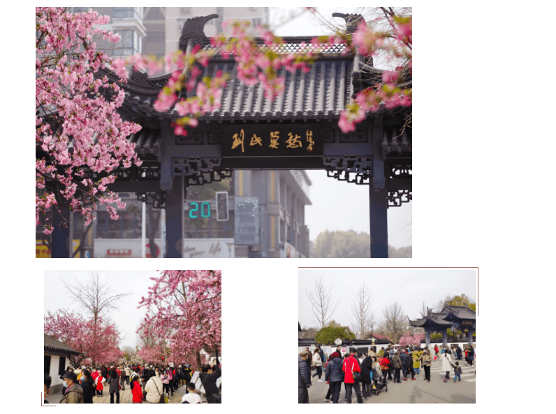 风日晴好，江苏文化和旅游市场喜迎周末“小阳春”