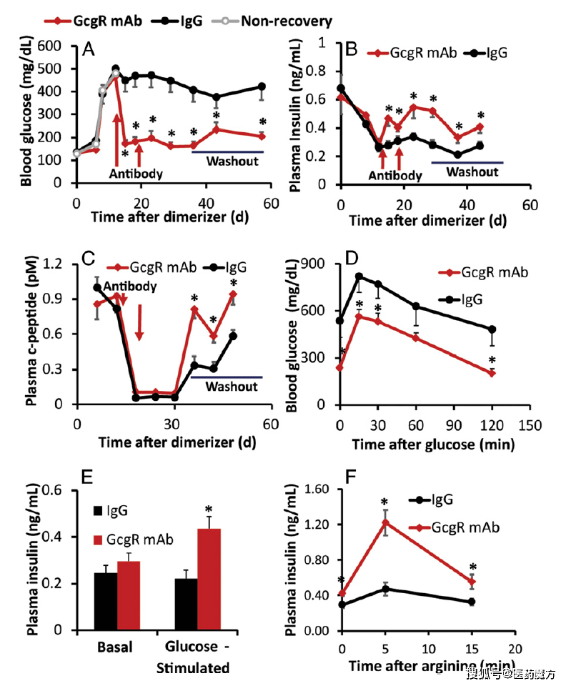 糖尿病治疗突破 Gcgr抗体让胰岛a细胞变身b细胞 成功恢复胰岛素生产 研究
