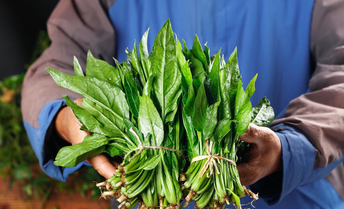 春天菠菜鲜又嫩6种做法鲜到家主食甜品下饭菜花样吃