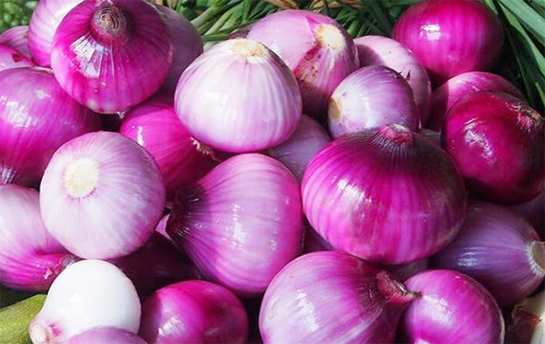 洋葱的功效与作用及吃法 65920c8d40d64db99b7a3a3892f22924.jpeg