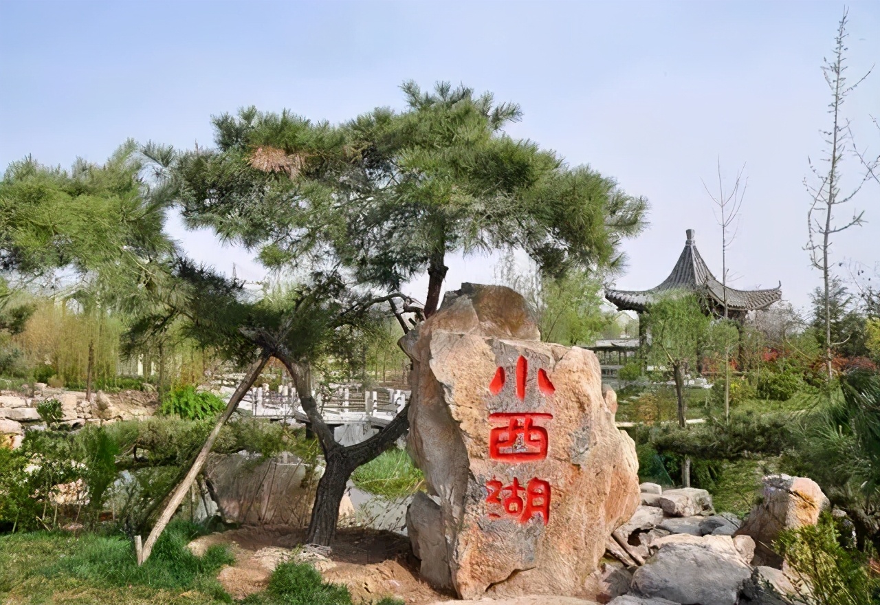 聊城的春色,远比你想象中的更动人!错过再等一年