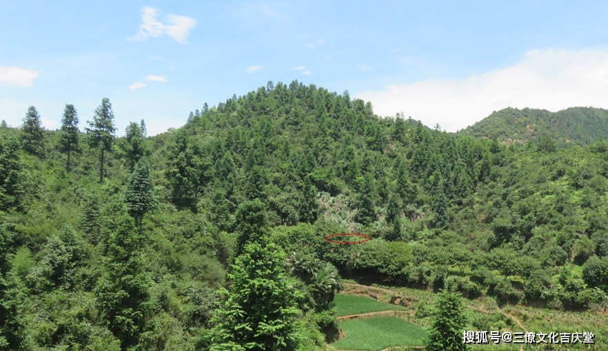 形峦基础,论金星结穴,建议初学者收藏