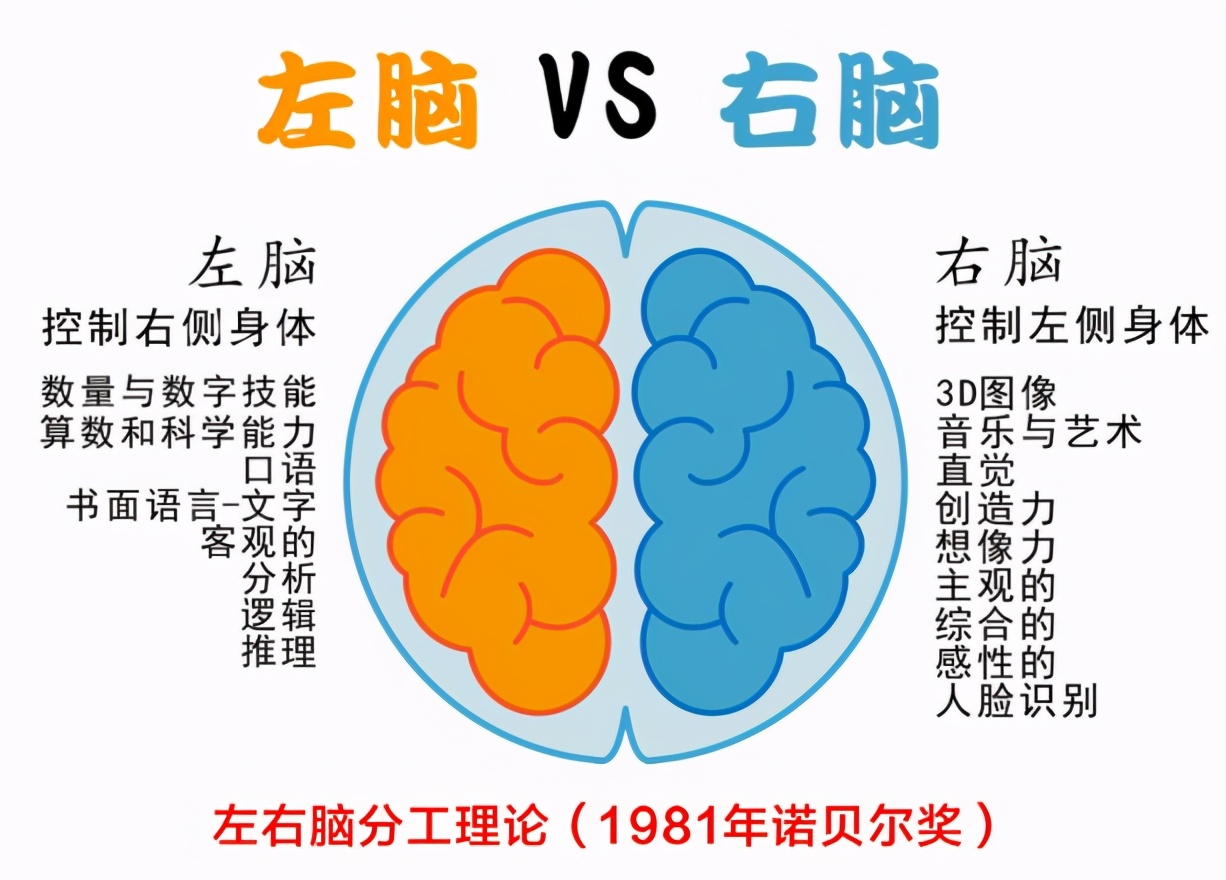 開發孩子右腦有多重要?